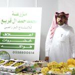 نائب وزير “البيئة”: البن السعودي مصنف بالأعلى جودة على مستوى العالم