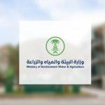 سمو محافظ حفر الباطن يستقبل مدير عام فرع وزارة البيئة بالشرقية