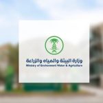 “البيئة”: مكة المكرمة الأعلى هطولًا للأمطار بـ17.6 ملم ضمن أمطار متفرقة على (7) مناطق بالمملكة