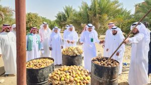 مكتب “البيئة” بالعرضيات يُنظّم ورشة حول تحويل المخلفات الزراعية إلى موارد مستدامة