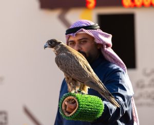 ختام منافسات الملاك الدوليين بمهرجان الملك عبدالعزيز للصقور 2025