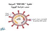 باحثون: طفرةD614G  المرعبة سبب شراسة فيروس كورونا