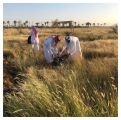 فعاليات أسبوع البيئة في محافظة الليث