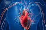 دراسة تتوصل إلى علاج جديد لأمراض القلب التاجية