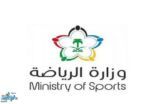 وزارة الرياضة تُصدر برتوكول دخول الجماهير للمباريات