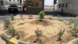 جمعيّة الطائف الخضراء تُنفِّذ مشروع التشجير في ساحات مستشفى الأمير منصور العسكري بالطائف