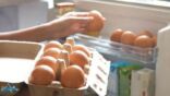 تحذير من حفظ البيض في «باب الثلاجة» بسبب تقلبات الحرارة