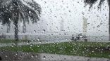 اشتداد الأمطار الموسمية على جنوب غرب المملكة مع فرص لجريان الأودية خلال قادم الأيام