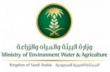 “البيئة” تصدر 4915 رخصة لمصادر المياه واستخداماتها خلال 2023م