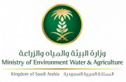 “البيئة” تشترط على الشركات والمؤسسات سجل تجاري متوافق مع الخدمة المقدمة في أسواق النفع العام
