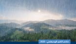 “البيئة”: المملكة تسجل رقمًا قياسيًا لمتوسط هطول الأمطار والسيول في 2023م