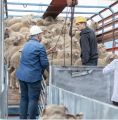 “البيئة”: استيراد (1.8) مليون رأس من الماشية لتلبية الطلب المتزايد على اللحوم خلال موسمي رمضان والحج